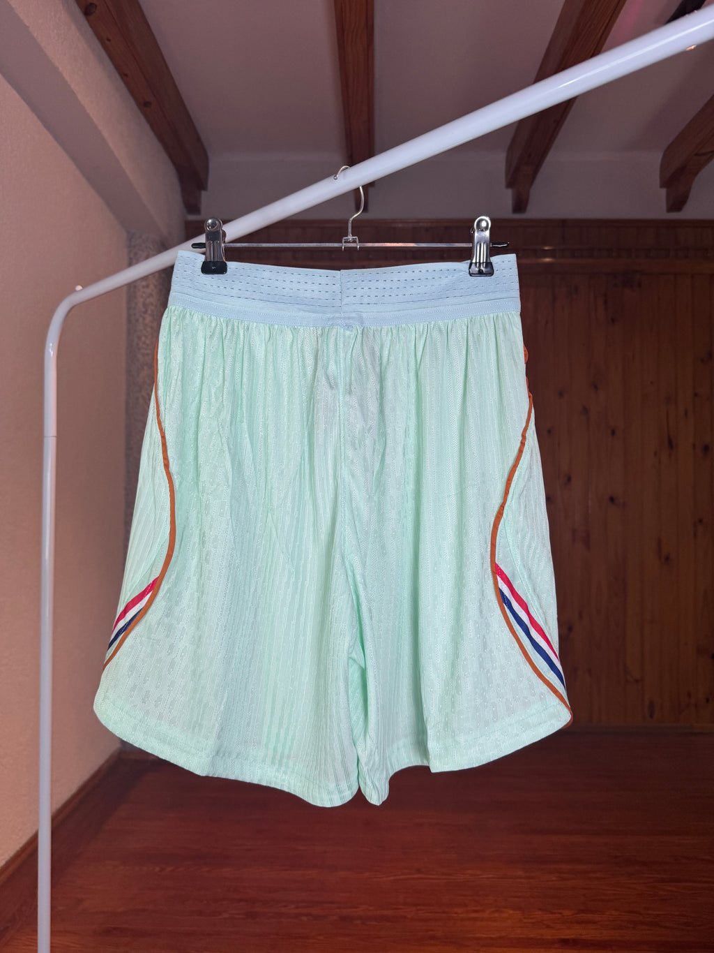 Short Francia FFF Nike Player Version - Vista completa espalda con franjas tricolor